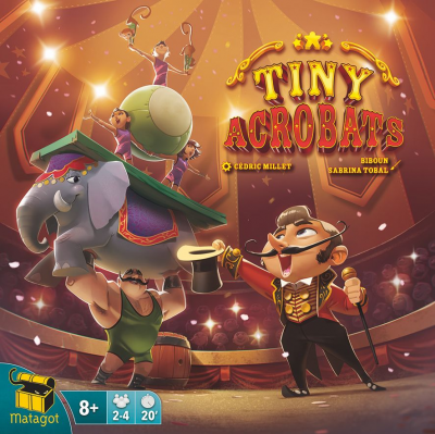 Tiny Acrobats Board Game